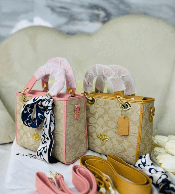 COACH - Image 3